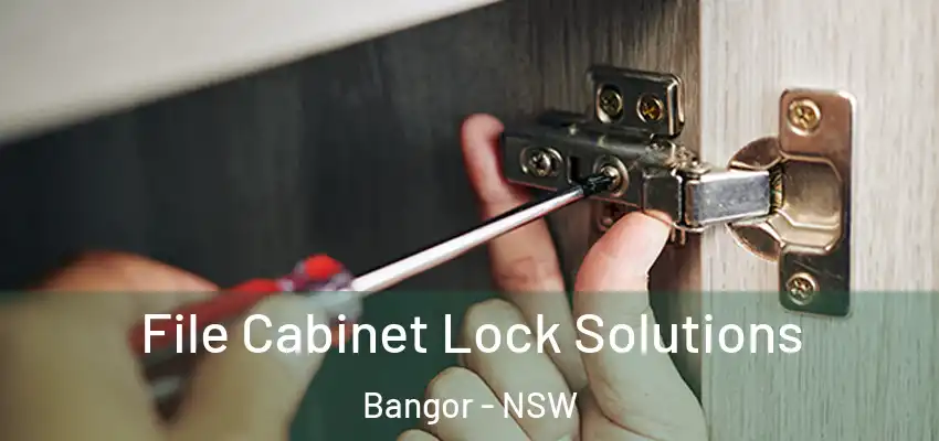 File Cabinet Lock Solutions Bangor - NSW