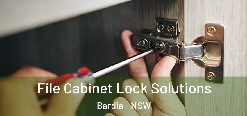 File Cabinet Lock Solutions Bardia - NSW