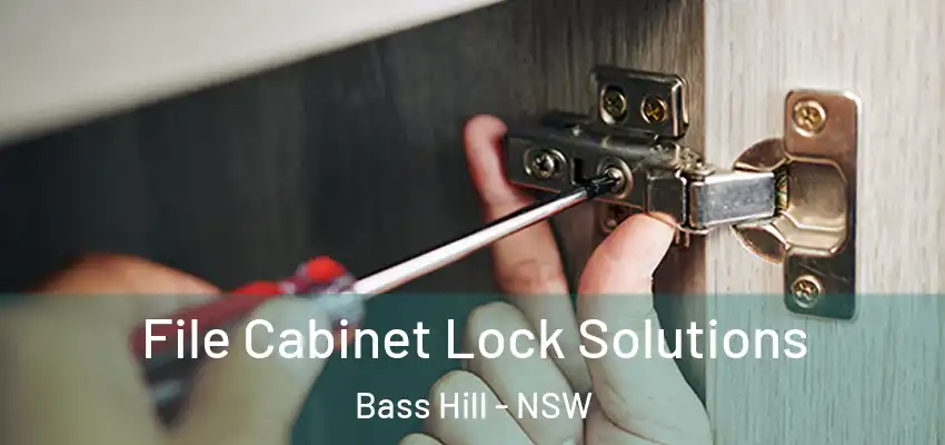 File Cabinet Lock Solutions Bass Hill - NSW
