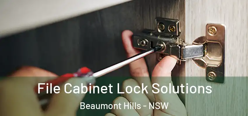 File Cabinet Lock Solutions Beaumont Hills - NSW