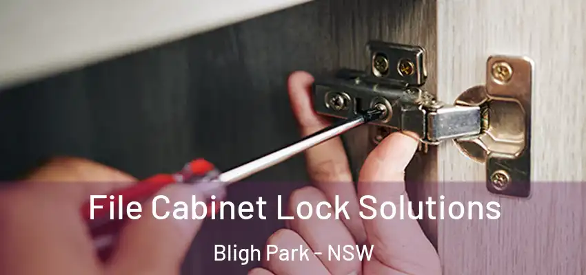 File Cabinet Lock Solutions Bligh Park - NSW