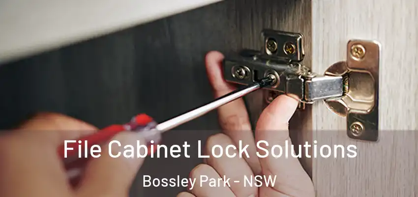 File Cabinet Lock Solutions Bossley Park - NSW