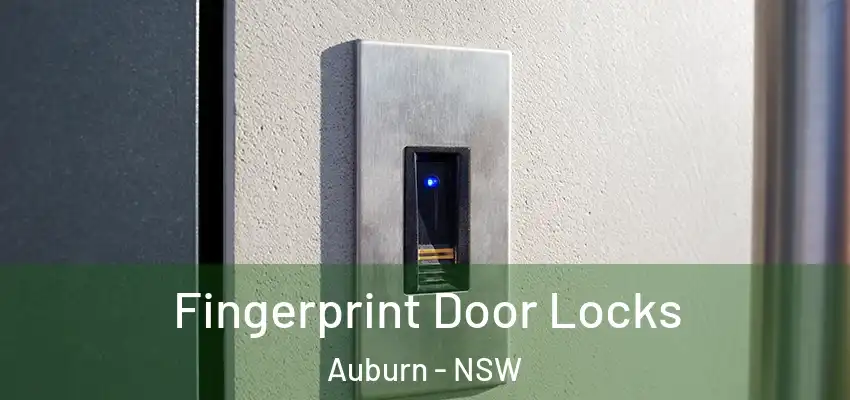 Fingerprint Door Locks Auburn - NSW
