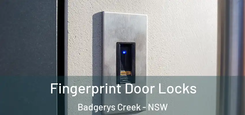 Fingerprint Door Locks Badgerys Creek - NSW