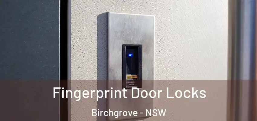 Fingerprint Door Locks Birchgrove - NSW