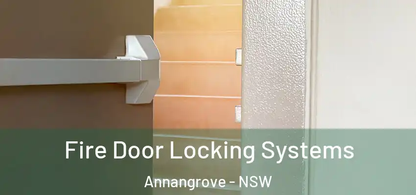 Fire Door Locking Systems Annangrove - NSW
