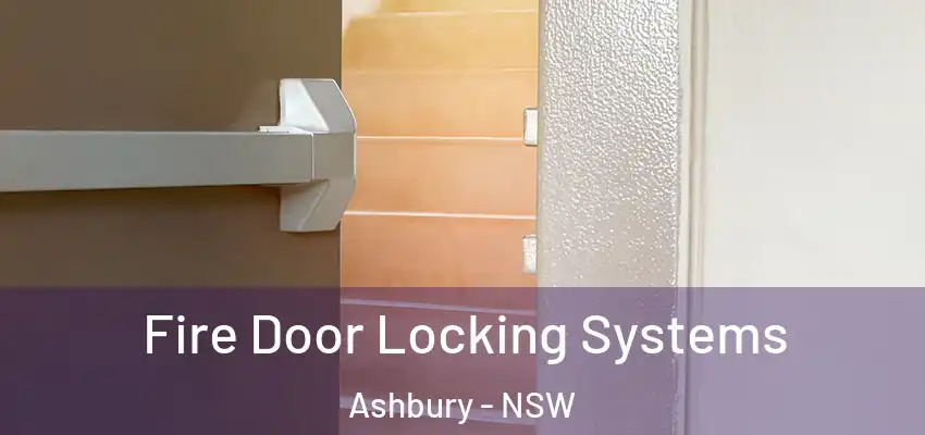 Fire Door Locking Systems Ashbury - NSW