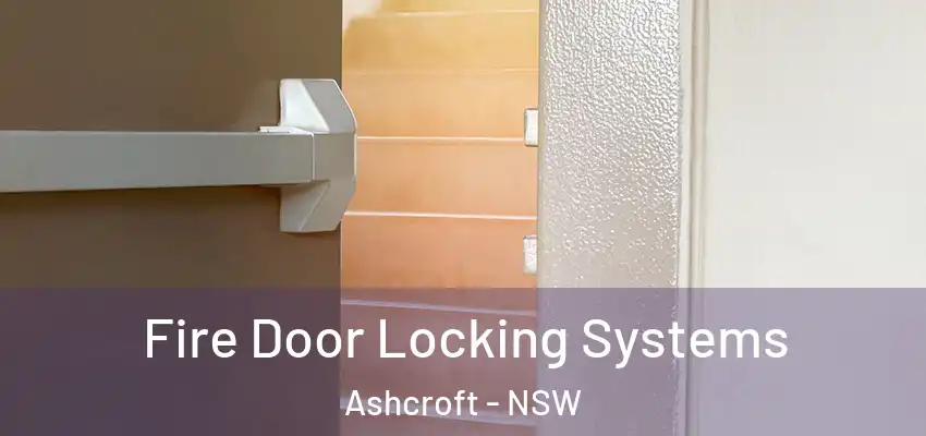 Fire Door Locking Systems Ashcroft - NSW
