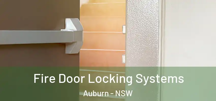 Fire Door Locking Systems Auburn - NSW
