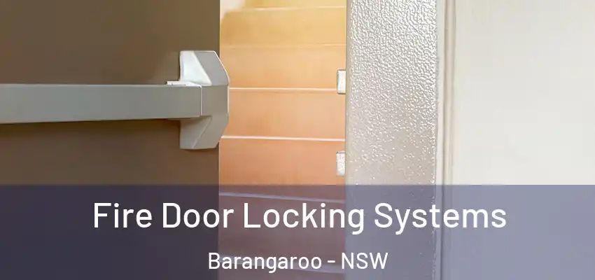 Fire Door Locking Systems Barangaroo - NSW