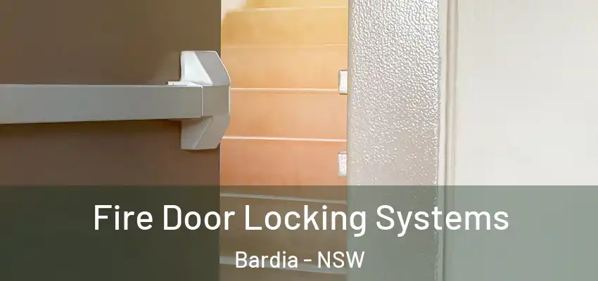 Fire Door Locking Systems Bardia - NSW