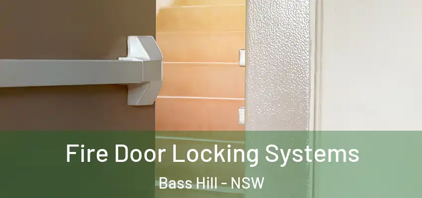 Fire Door Locking Systems Bass Hill - NSW
