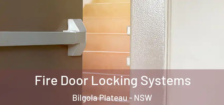 Fire Door Locking Systems Bilgola Plateau - NSW