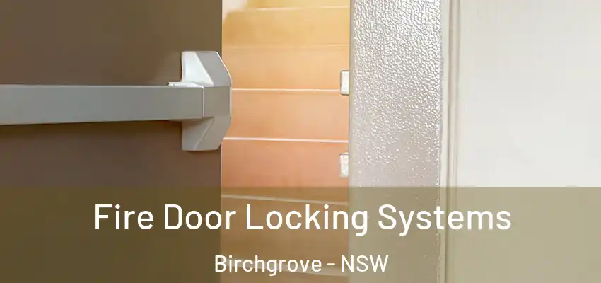 Fire Door Locking Systems Birchgrove - NSW