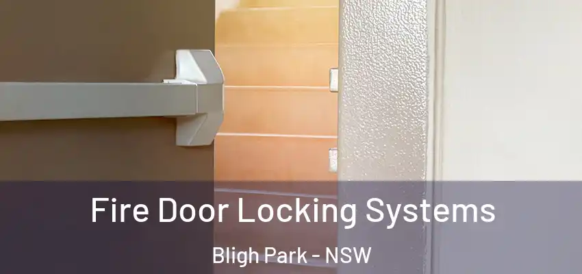 Fire Door Locking Systems Bligh Park - NSW