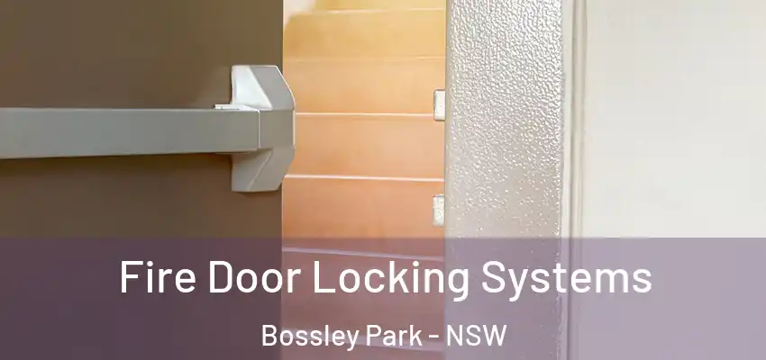 Fire Door Locking Systems Bossley Park - NSW