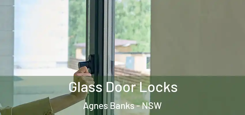 Glass Door Locks Agnes Banks - NSW
