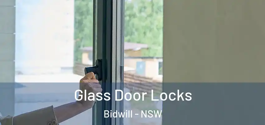Glass Door Locks Bidwill - NSW