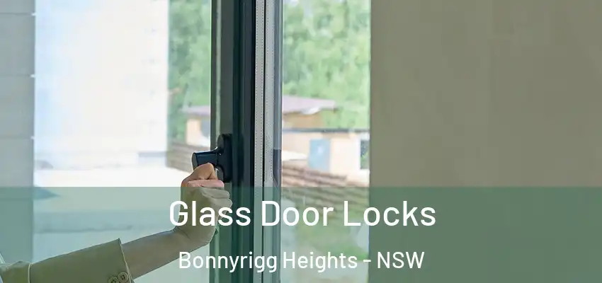 Glass Door Locks Bonnyrigg Heights - NSW