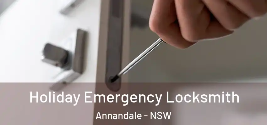 Holiday Emergency Locksmith Annandale - NSW