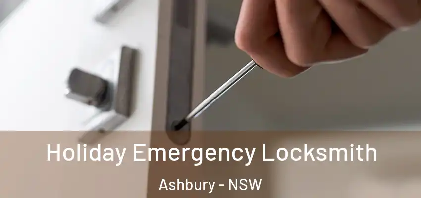Holiday Emergency Locksmith Ashbury - NSW