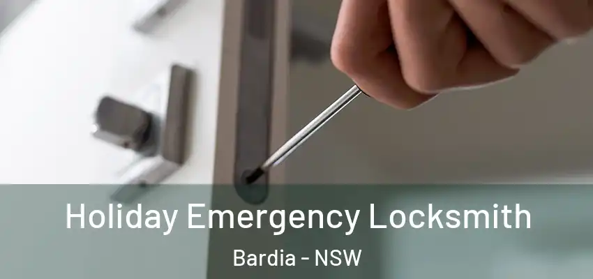 Holiday Emergency Locksmith Bardia - NSW