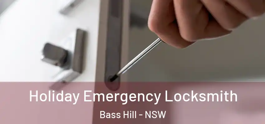 Holiday Emergency Locksmith Bass Hill - NSW