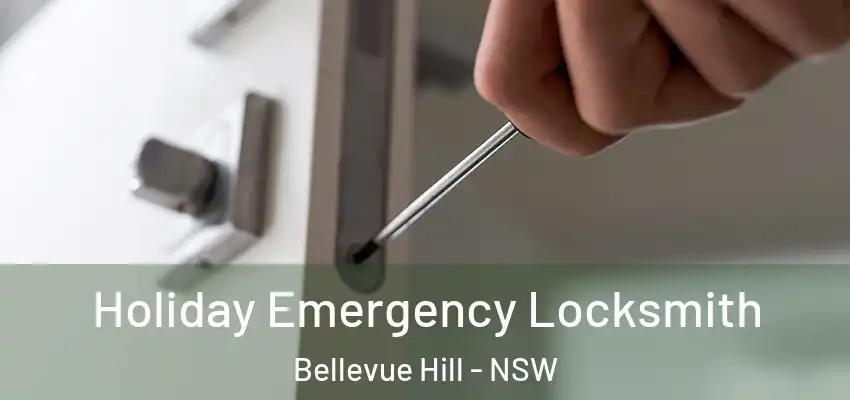 Holiday Emergency Locksmith Bellevue Hill - NSW