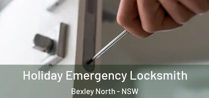 Holiday Emergency Locksmith Bexley North - NSW