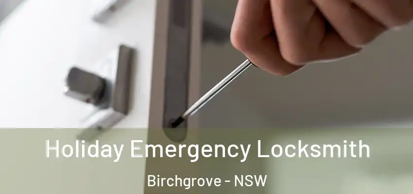 Holiday Emergency Locksmith Birchgrove - NSW
