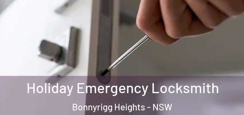 Holiday Emergency Locksmith Bonnyrigg Heights - NSW