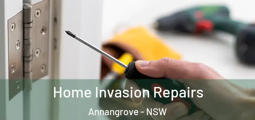 Home Invasion Repairs Annangrove - NSW