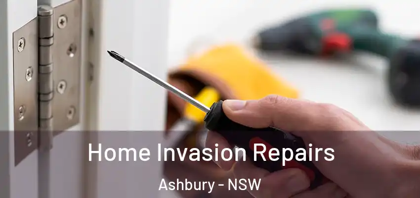 Home Invasion Repairs Ashbury - NSW