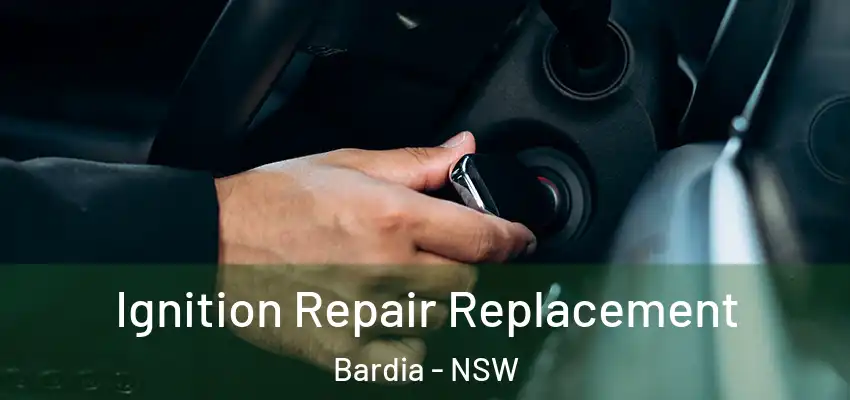Ignition Repair Replacement Bardia - NSW