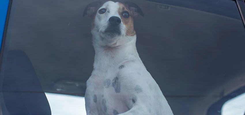 Car Lockout Solutions in Sydney, NSW