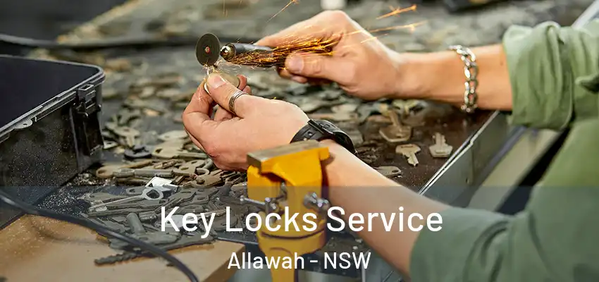 Key Locks Service Allawah - NSW
