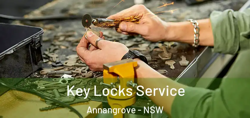 Key Locks Service Annangrove - NSW