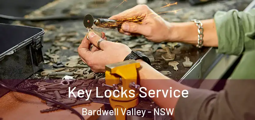 Key Locks Service Bardwell Valley - NSW
