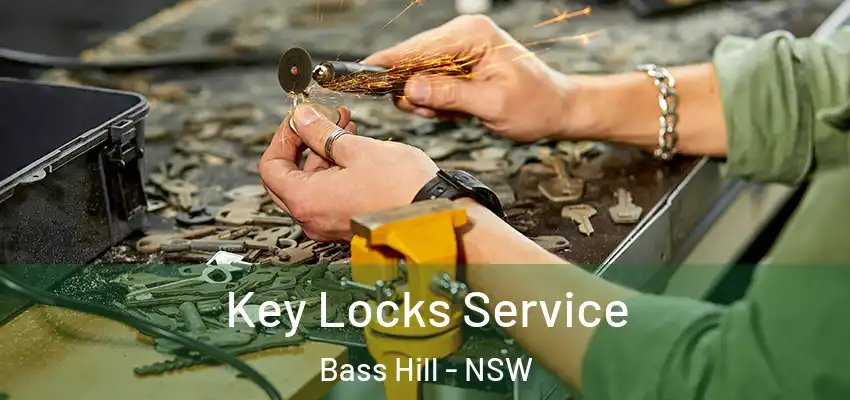 Key Locks Service Bass Hill - NSW