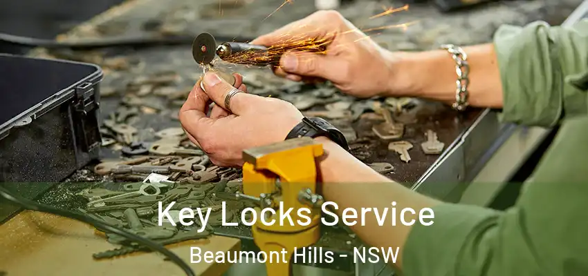 Key Locks Service Beaumont Hills - NSW