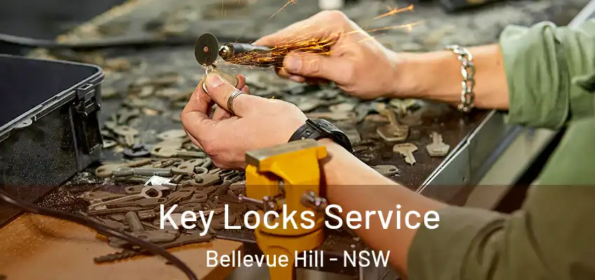 Key Locks Service Bellevue Hill - NSW