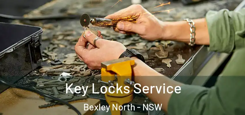 Key Locks Service Bexley North - NSW