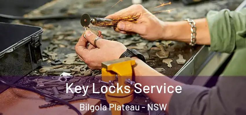 Key Locks Service Bilgola Plateau - NSW