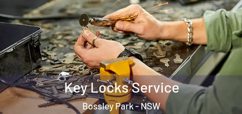 Key Locks Service Bossley Park - NSW