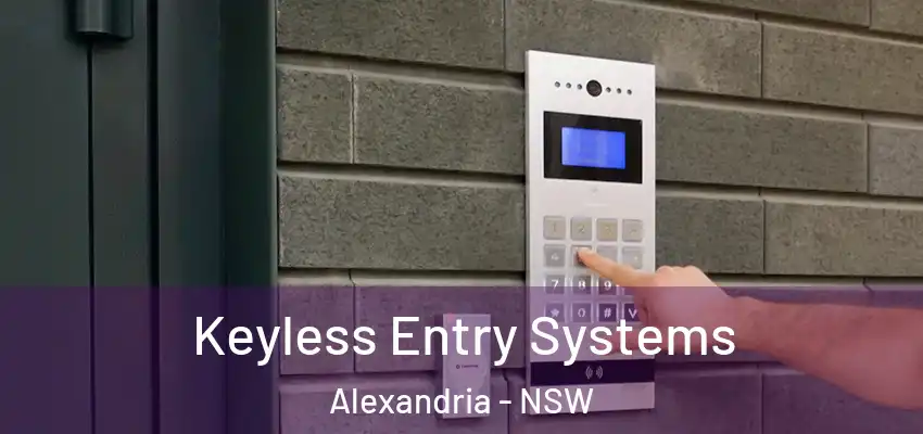 Keyless Entry Systems Alexandria - NSW