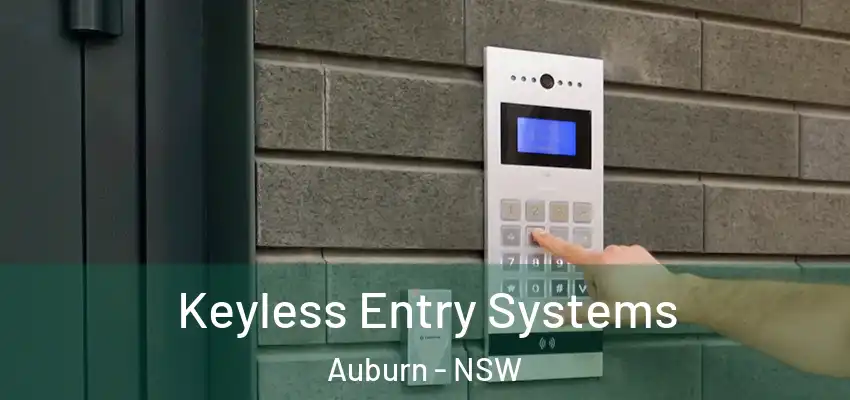 Keyless Entry Systems Auburn - NSW