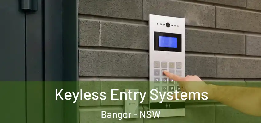 Keyless Entry Systems Bangor - NSW