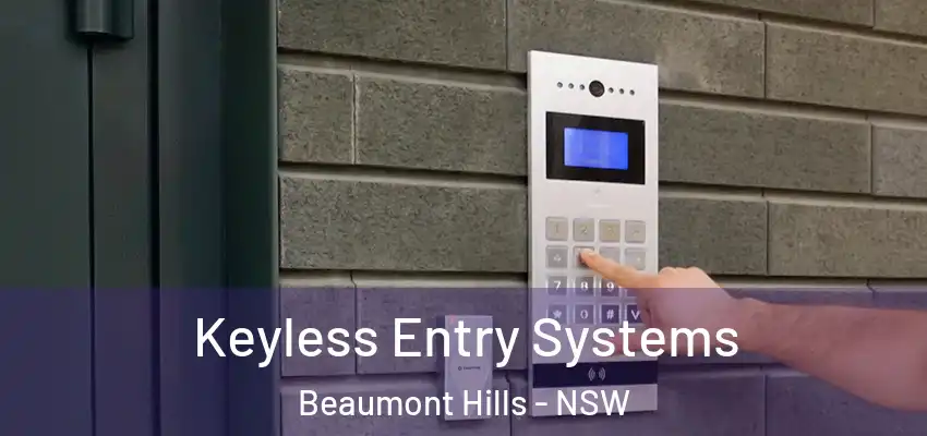 Keyless Entry Systems Beaumont Hills - NSW