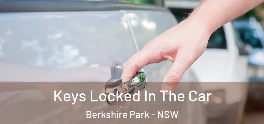 Keys Locked In The Car Berkshire Park - NSW