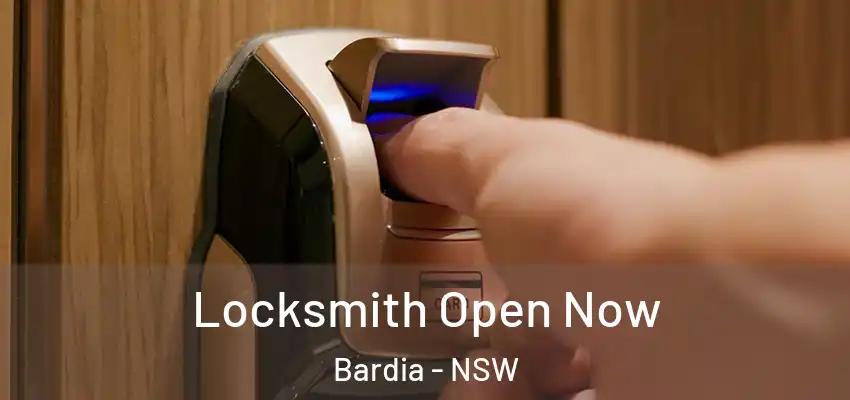 Locksmith Open Now Bardia - NSW